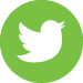 Twitter green icon